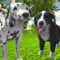 Dog Simulator 3d - unblocked games gplus