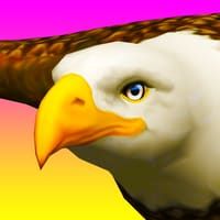 Eagle Ride - unblocked games gplus