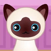 Guess The Kitty - unblocked games gplus