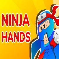 Ninja Hands - unblocked games gplus
