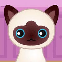 unblocked games gplus